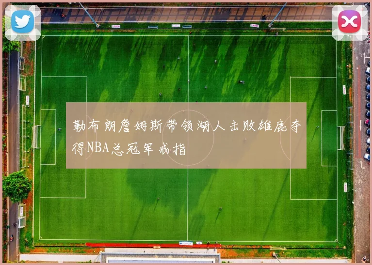 勒布朗詹姆斯带领湖人击败雄鹿夺得NBA总冠军戒指